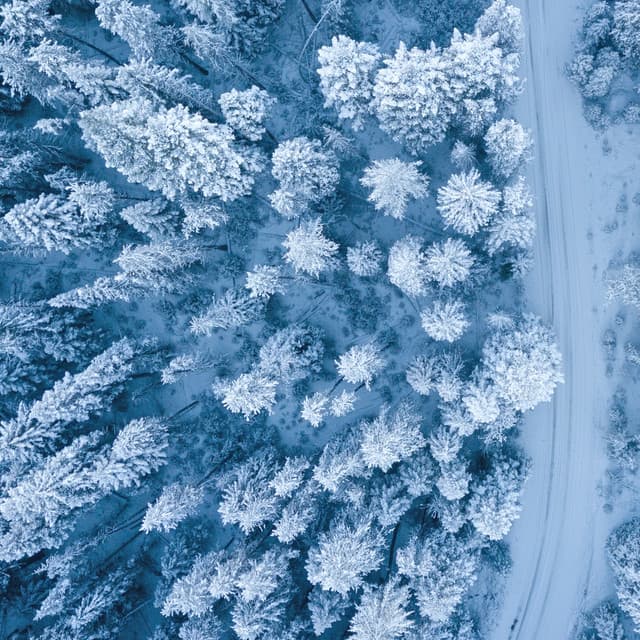 Sleep Better Noise for Babies - Sweet Baby Dreams & Noises