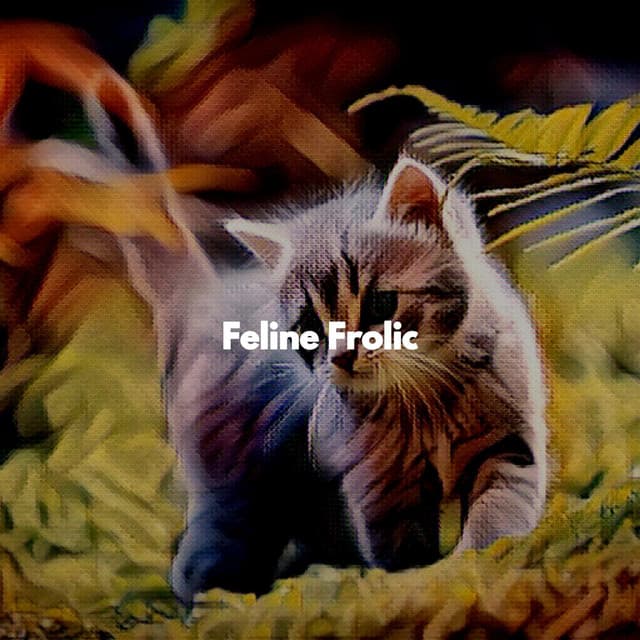 Feline Frolic - Cat Music Relaxation