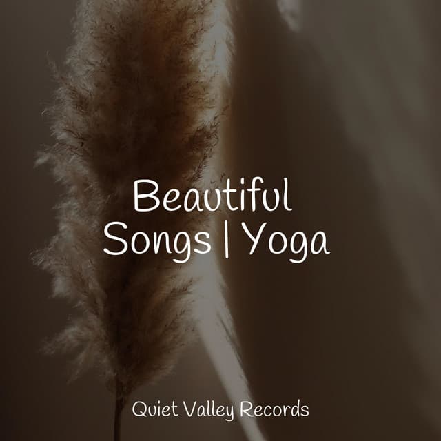 Beautiful Songs | Yoga - Rain Sounds