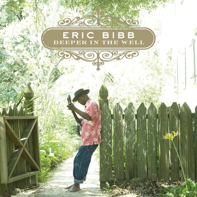 Deeper in the Well - Eric Bibb