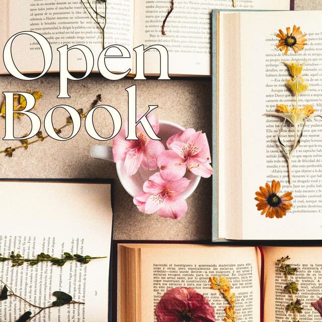 Open Book: The Melodies at Night - Piano Jazz Background Music Masters