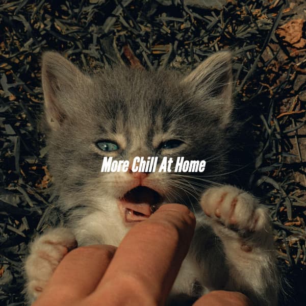 More Chill At Home - French Cafe Jazz