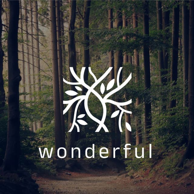 wonderful - halley Green