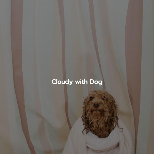 Cloudy with Dog - Eccezionale Jazz Rilassante