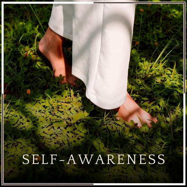 Self-Awareness - Meditations for Peace