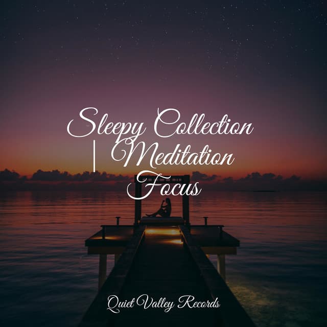 Sleepy Collection | Meditation Focus - Chakra Balancing Sound Therapy