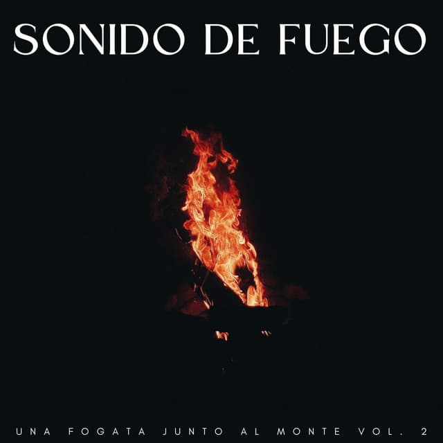 Sonido De Fuego: Una Fogata Junto Al Monte Vol. 2 - Ruidos de la Selva