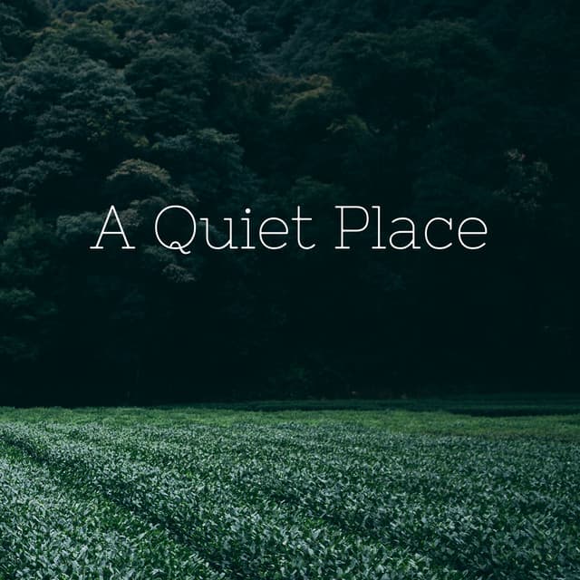 A Quiet Place - Ambientalism