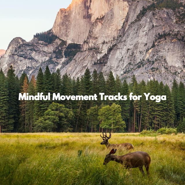 Mindful Movement Tracks for Yoga - Bossa Cafe Deluxe