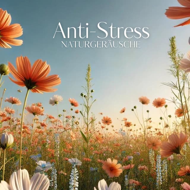 Anti-Stress-Naturgeräusche - Heilende Geräusche Der Natur Academie