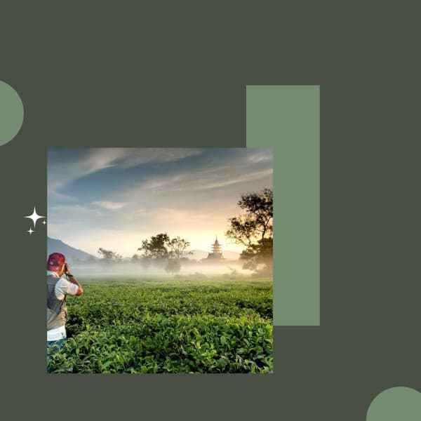 Relaxing Rituals - Jazz Ambiente