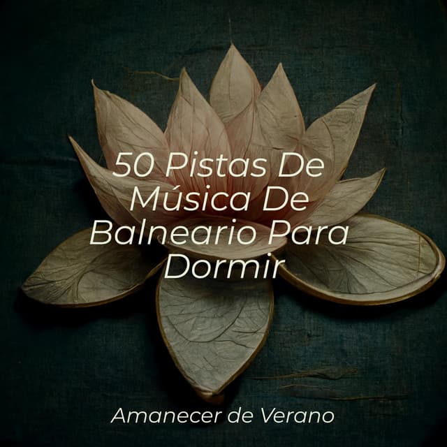 50 Pistas De Música De Balneario Para Dormir - Smart Baby Lullaby