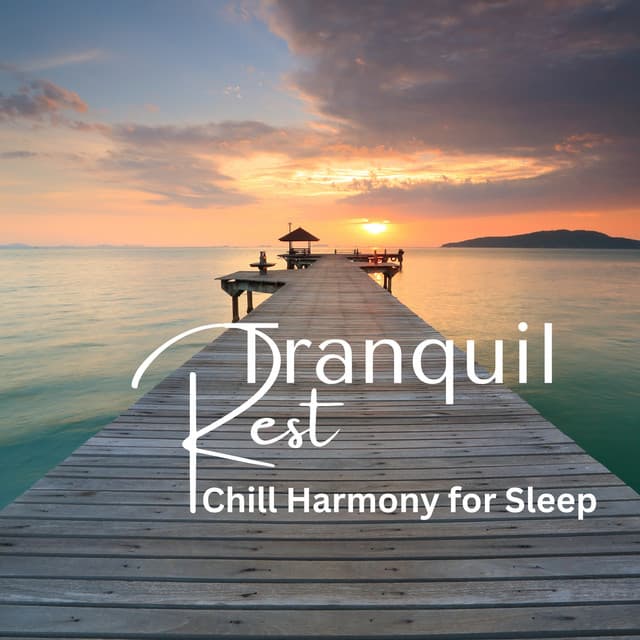 Tranquil Rest: Chill Harmony for Sleep - Hotday & The Dreamteam