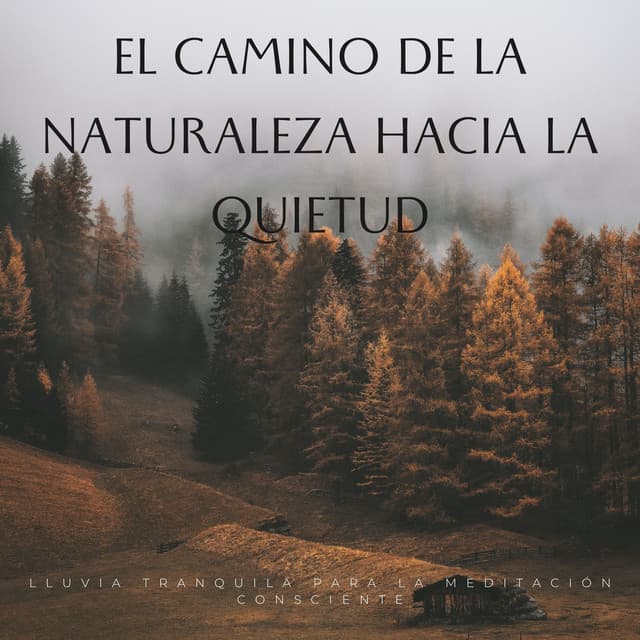 El Camino De La Naturaleza Hacia La Quietud: Lluvia Tranquila Para La Meditación Consciente - Meditación de lluvia