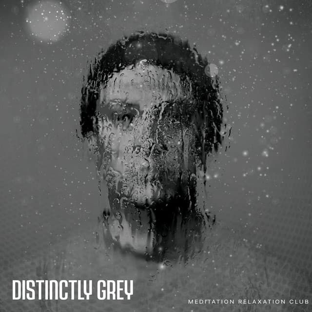Distinctly Grey - Meditation Relaxation Club