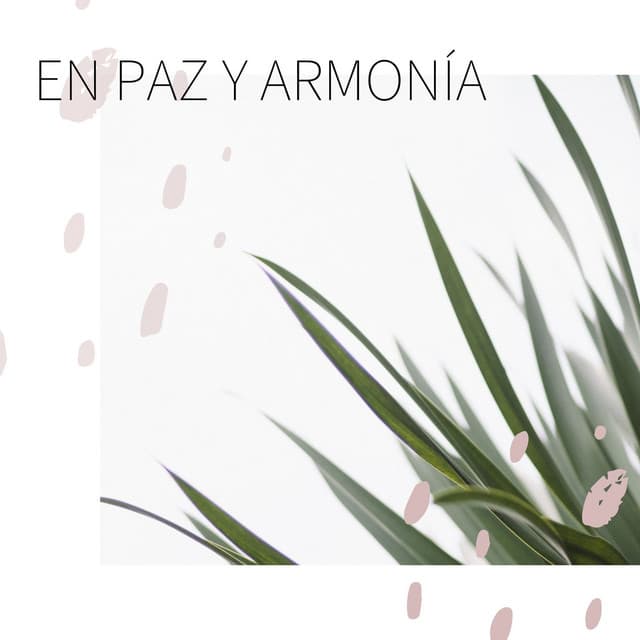 En Paz y Armonía: 20 Canciones para el Equilibrio y la Relajación Mental y Corporal - Serenidad Alves