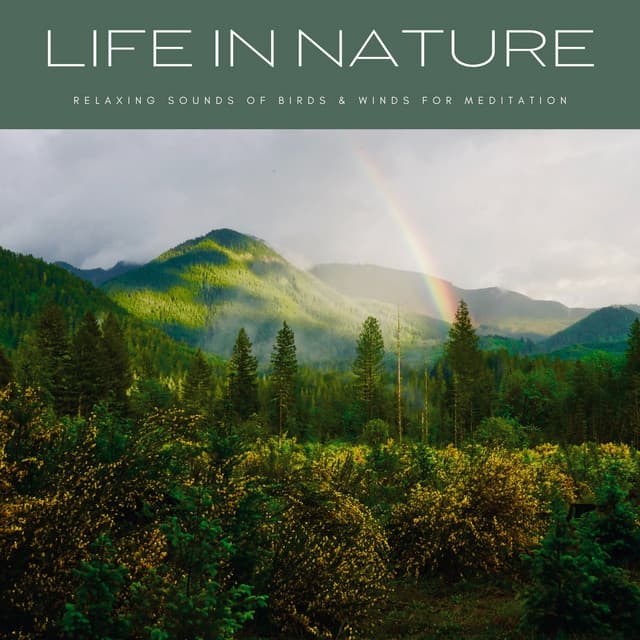 Life In Nature: Relaxing Sounds Of Birds & Winds For Meditation - PowerThoughts Meditation Club