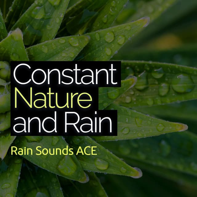 Constant Nature and Rain - Rain Sounds ACE