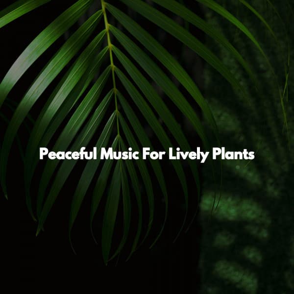 Peaceful Music For Lively Plants - Relaxing Coffee Shop