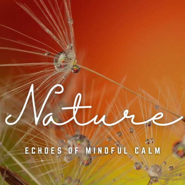 Relaxation Dreams: Echoes of Mindful Calm - Relaxing Pianist