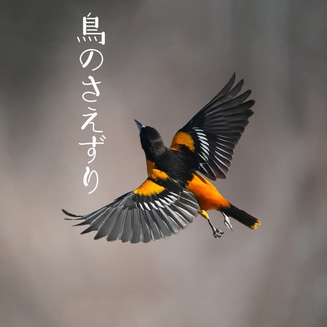 鳥のさえずり - Calm Singing Birds Zone