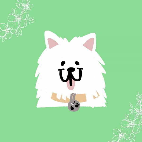 Easy Listening Piano - Ambiance for Doggy Musics - Good Dog Music