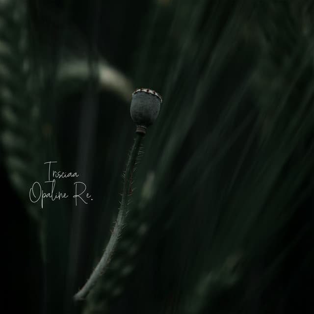 Listen to the Plant Thoughts - Irisciaa