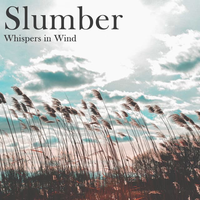 Slumber: Whispers in Wind - Nature Dreaming, Calm Zen, Feeling of Rain, Instant Peace Meditation, Music for Deep Sleep, Distress, Sleepy Drops - Abundant Nature Zen