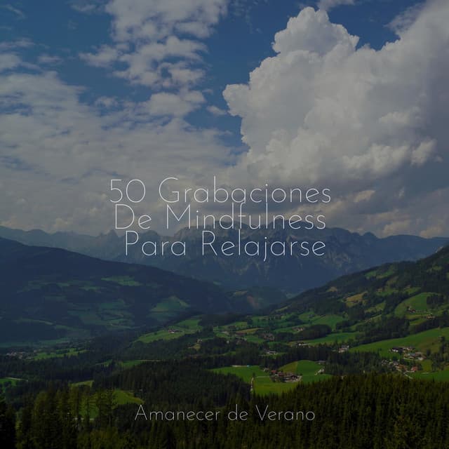 50 Grabaciones De Mindfulness Para Relajarse - Meditación Guiada