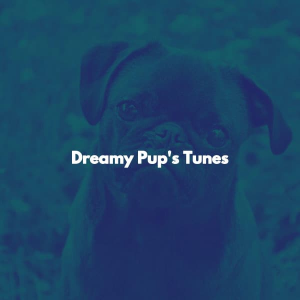 Dreamy Pup's Tunes - Musica del lobby del Hotel