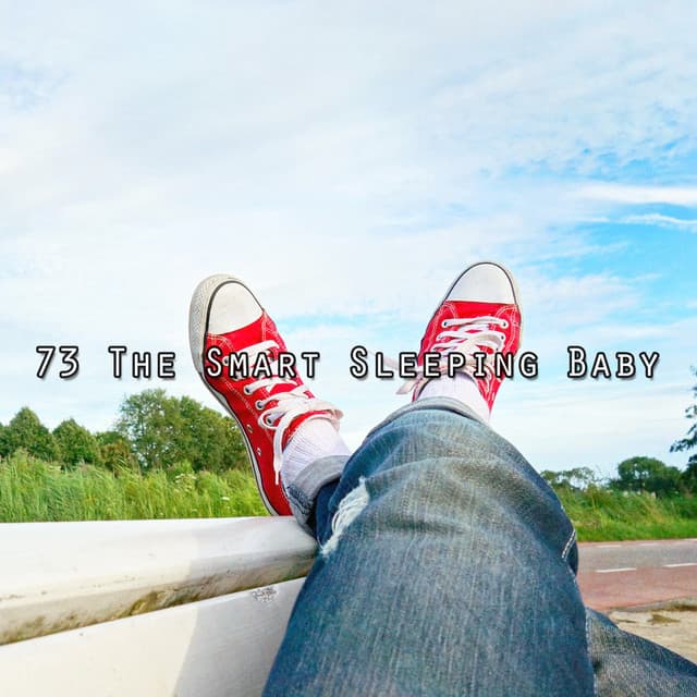 73 The Smart Sleeping Baby - Relaxing Music For Sleeping