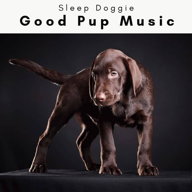 1 Good Pup Music - Sleep Doggie