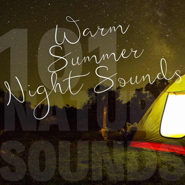 Warm Summer Night Sounds - 101 Nature Sounds