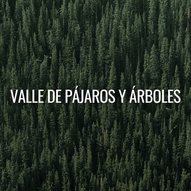 Valle De Pájaros Y Árboles - Sonidos De Pajaros