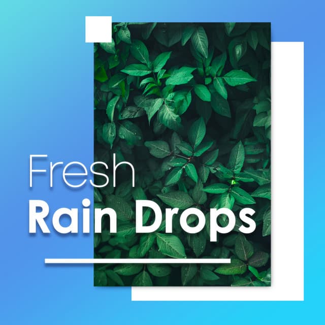 Fresh Rain Drops - Heavy Rain Sounds