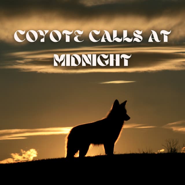 Coyote Calls at Midnight - Two Seconds to Wild West