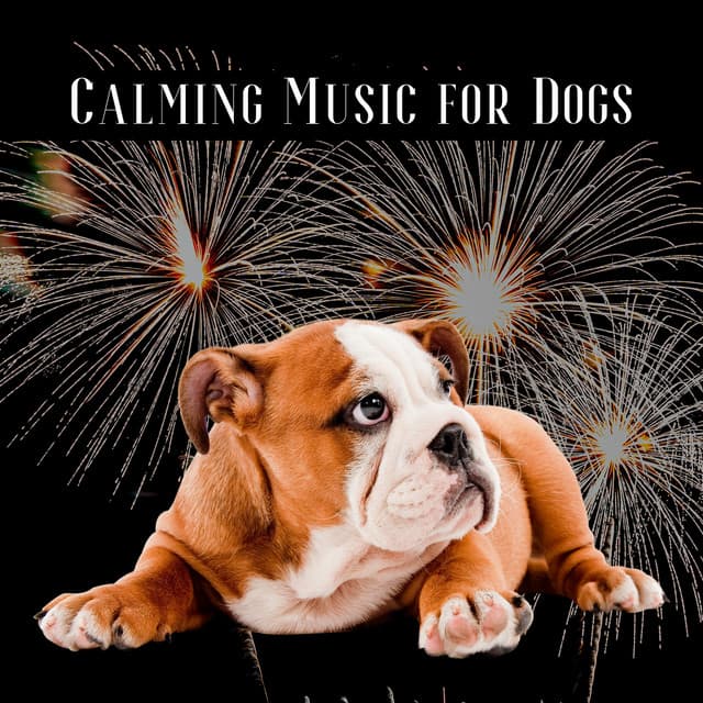 Calming Music for Dogs Afraid of Fireworks - Dog & Calm