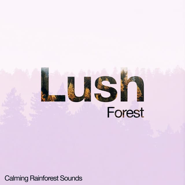Lush Forest - Calming Rainforest Sounds