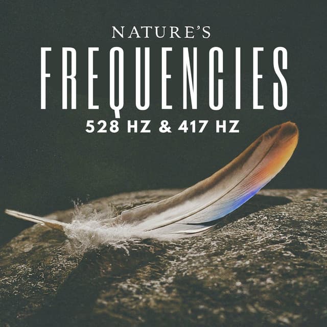 Natures Frequencies 528hz & 417hz - Natural Frequencies