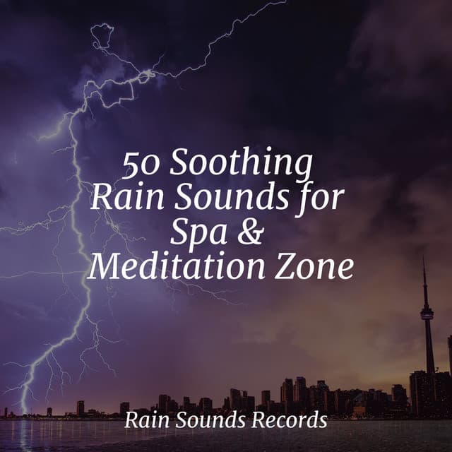 50 Soothing Rain Sounds for Spa & Meditation Zone - Sonidos de la Naturaleza Relajacion