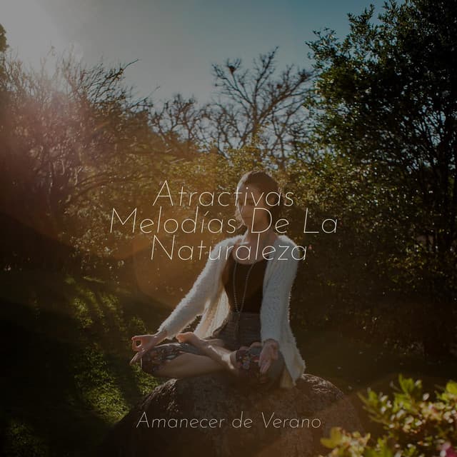 Atractivas Melodías De La Naturaleza - Musica Relajante & Yoga