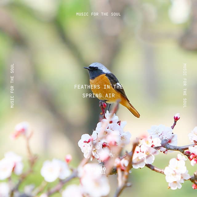 Feathers in the Spring Air - Garudara