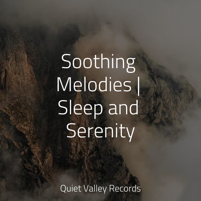 Soothing Melodies | Sleep and Serenity - Sleep Sound of Nature