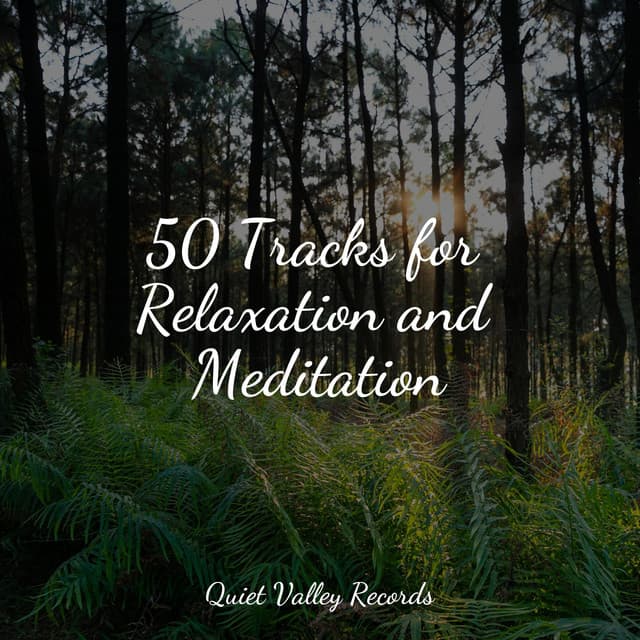 50 Tracks for Relaxation and Meditation - White Noise Baby Sleep