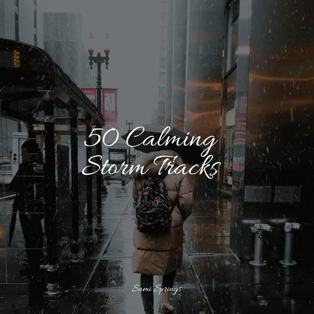50 Calming Storm Tracks - Thunder Storms & Rain Sounds