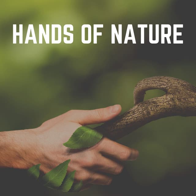 Hands of Nature - Nature Ambience