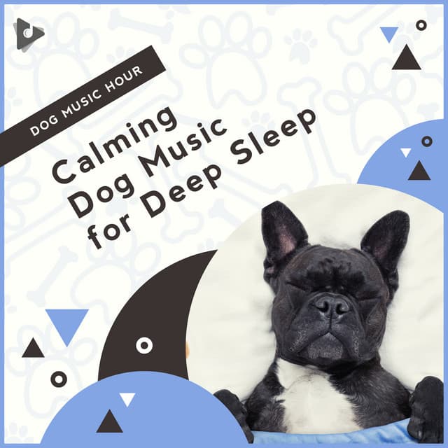 Calming Dog Music for Deep Sleep - Dog Music Hour