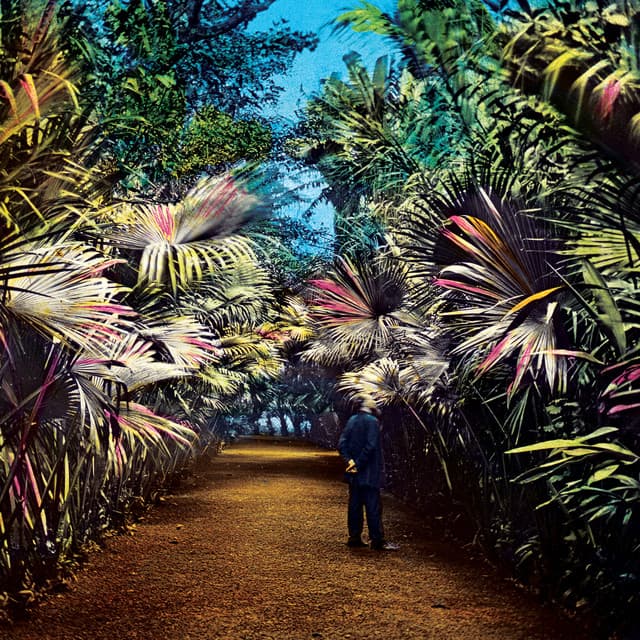 Cut the Wire - Tim Knol