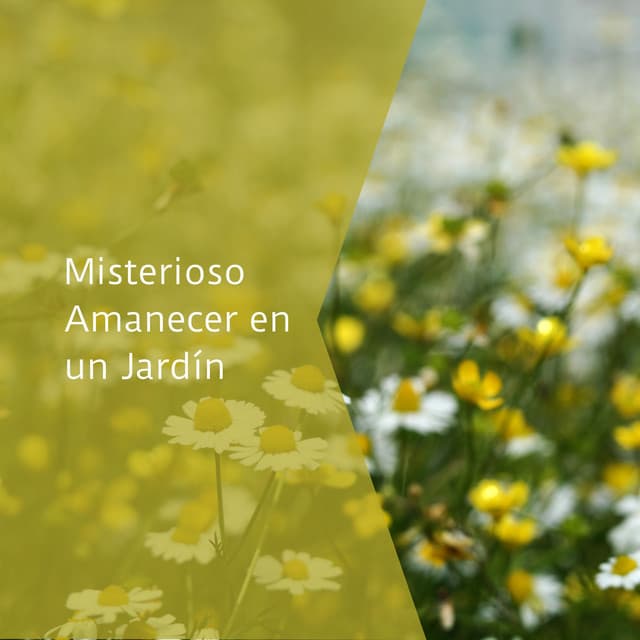 Misterioso Amanecer en un Jardín - La Naturaleza Del Sueño