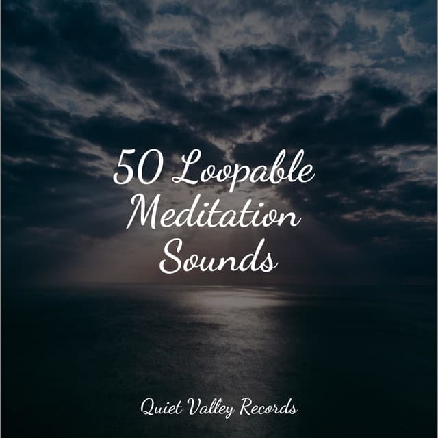 50 Loopable Meditation Sounds - Binaural Beats Brain Waves Isochronic Tones Brain Wave Entertainment